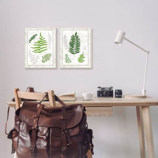 Stupell Industries Antique Fern Study with Script Forest Greenery Framed Wall Art Set